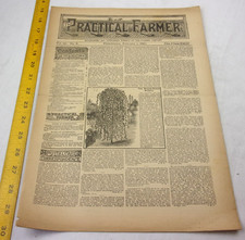 Agriculture veterinary poultry