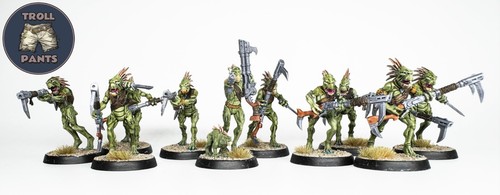 Kroot carnivores squad - squad,