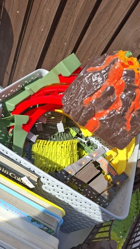 Lightly used jurassic park car - lightly,