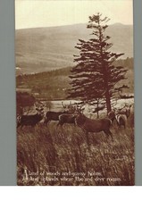 Poetic Scotland : Vintage