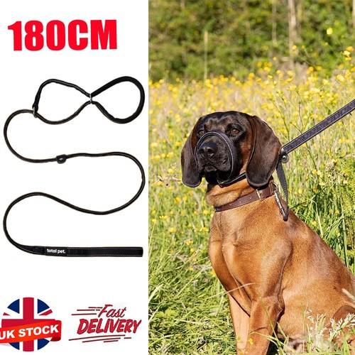 Flat figure dog lead - 8,