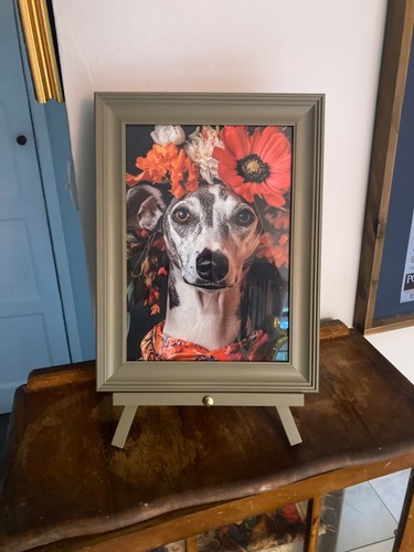 Upcycled dog a flower - upcycled,