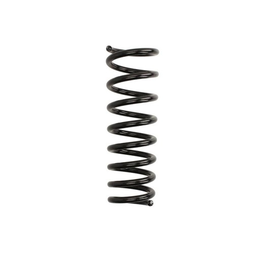 Coil spring rear fits - rear, l/r