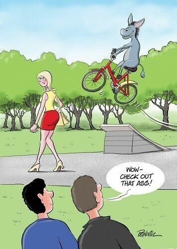 Donkey funny card check out - donkey,