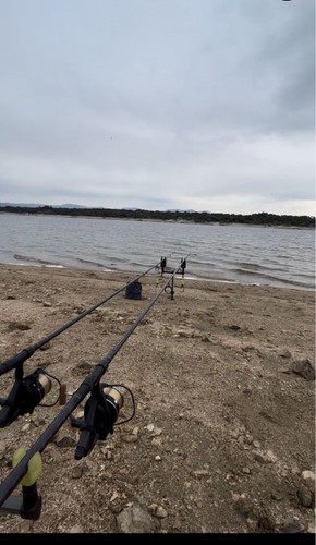 Sportex competition carp - sportex, cs-4