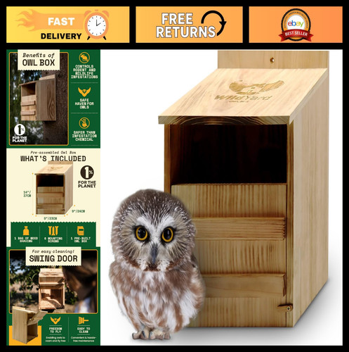 Cedar barn owl nesting - cedar,