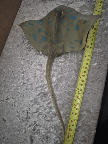Stingray toy figure - toy,