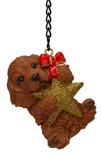 Red cocker spaniel puppy dog - red,