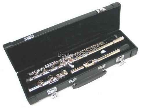 Advanced concert school - concert,