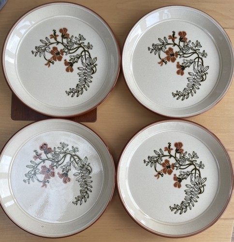 Raised rim dinner plates - 4,