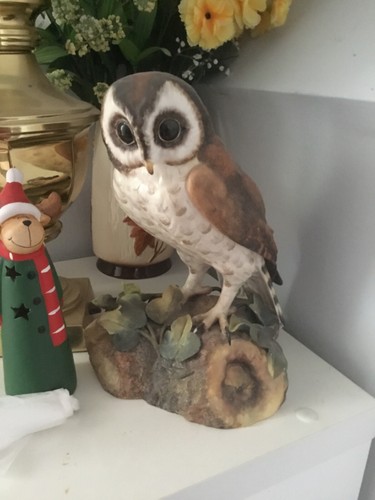 Royal crown derby brown - royal, owl