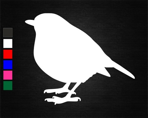 Robin bird nature - robin,