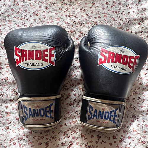 Sandee black boxing training - sandee,