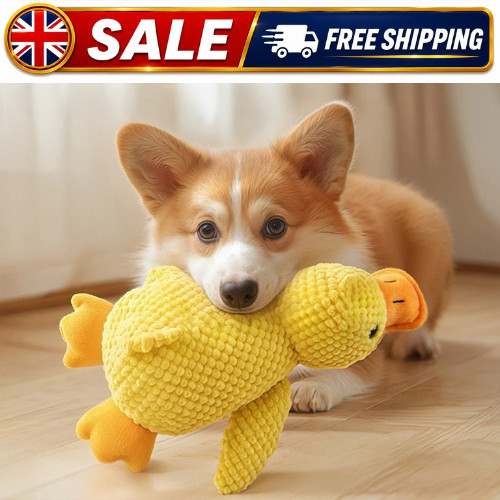 Indestructible cat dog toy - dog,