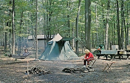 Family camping area sandy cove - family,