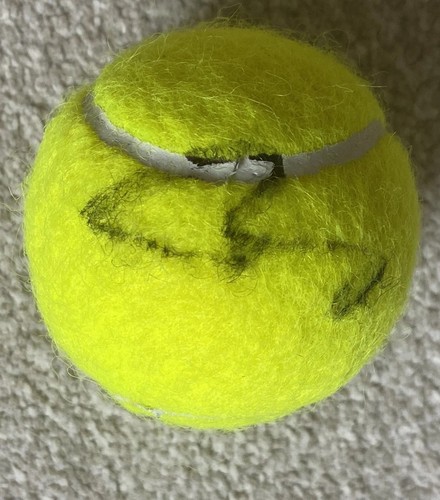 Andy murray hand - hand, signed