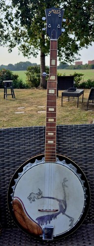 Vintage string resonator - vintage,