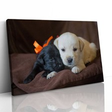 Cute Labrador Puppies Close Up Canvas Framed Print Picture Wall Art