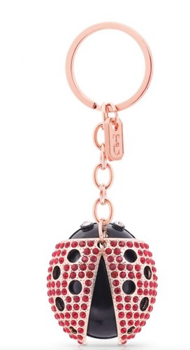 Tipperary crystal keyring - tipperary,