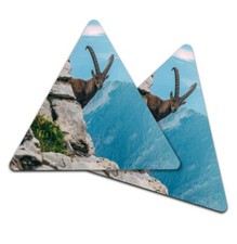 2x Triangle Coaster - Alpine