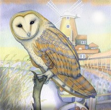 Barn owl the mill fine - mill,