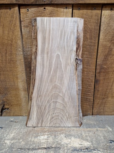 Live edge beech slab - beech,