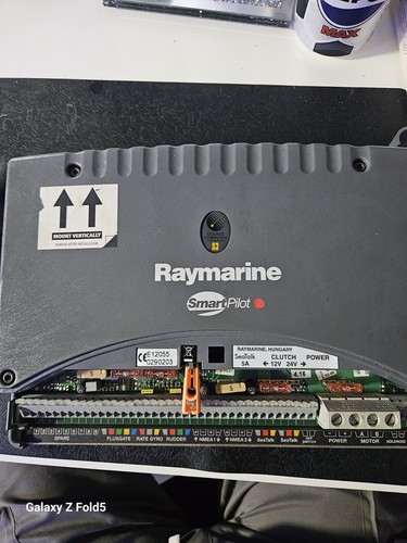 Raymarine