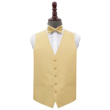 Mens Waistcoat & Bow Tie Set