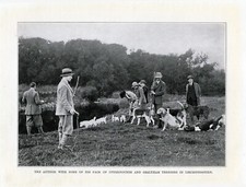 SEALYHAM TERRIER & OTTERHOUND PACK OLD VINTAGE 1925 DOG PRINT PAGE