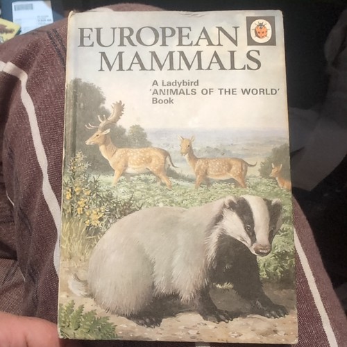 Vintage ladybird book european - ladybird,