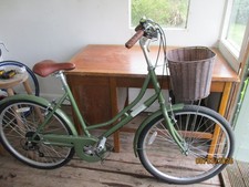 Windsor, Coyote ladies step