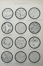 1870s Geology Print – Obsidian, Basalt, Granite & Fossil Stone – Engraving