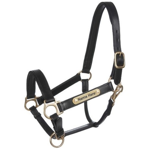English padded leather - english,