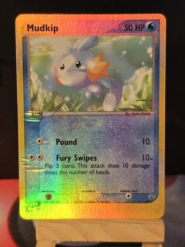 Mudkip 010 black - black, star