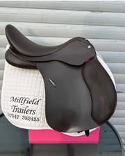 17.5 Brown Wintec 500 with