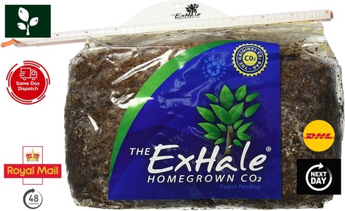 Exhale natural co2 generator - natural,