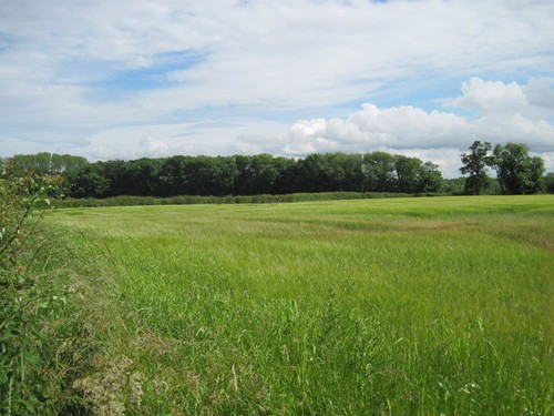 Photo over field - over,