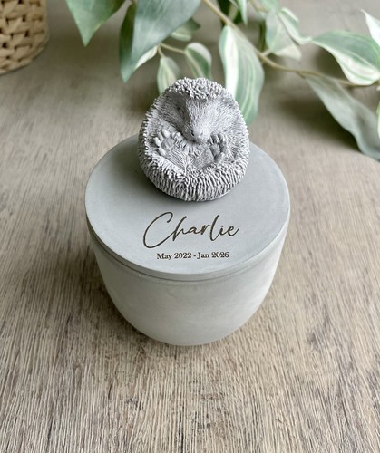 Personalised hedgehog urn - hedgehog, /