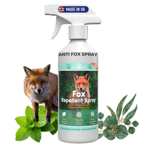 Stop foxes fox repellent - foxes, in