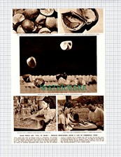 X705) Paper Cutting - Mexican Jumping Beans Brincadores - 1951 Clip