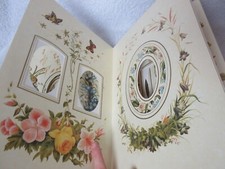 Victorian Photo Album - With Shaped Apertures & Botanical/ Nature Illustrations