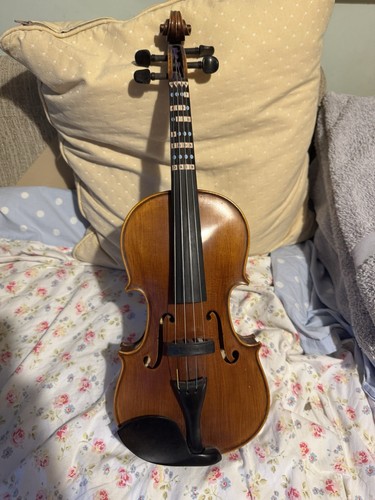 Forenza secondo violin - secondo, full