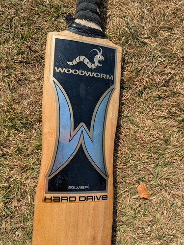 Woodworm hard drive silver - hard,