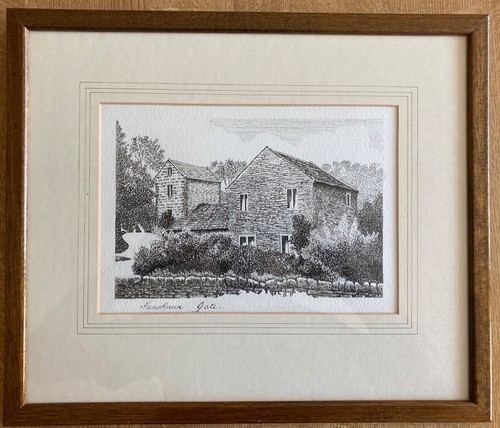 Pen ink drawing - of, fanshawe