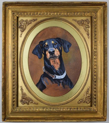 Portrait doberman - a,