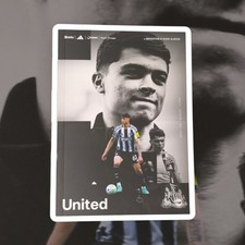 Newcastle united brighton - united, v