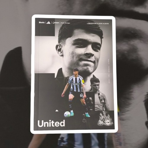 Newcastle united brighton - newcastle,