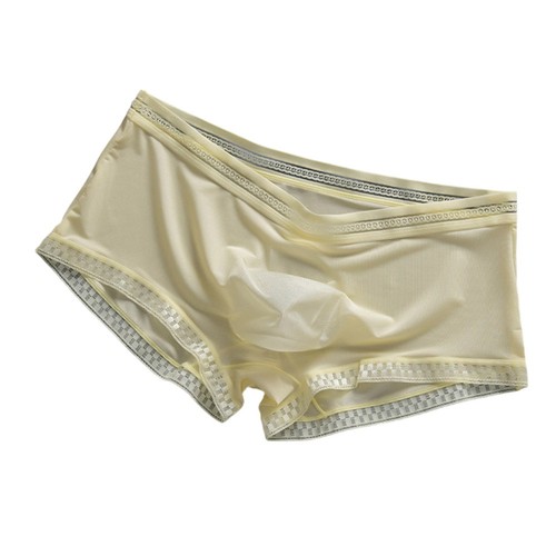 Sheer men trunks - sheer,