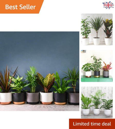 Breathe clean with indoor - breathe,