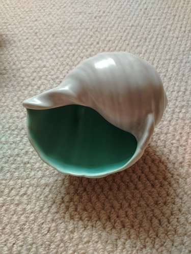 Vintage poole pottery conch - pottery,